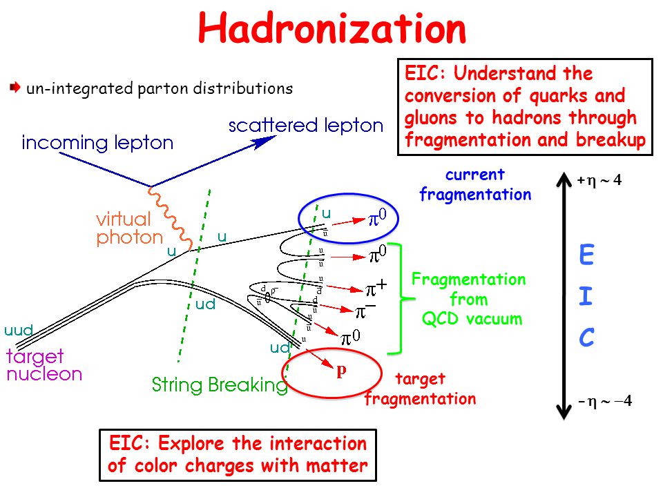 Hadronization un-integrated parton distributions current fragmentation target fragmentation Fragmentation from QCD vacuum +  -  EIC: Understand the conversion of quarks and gluons to hadrons through fragmentation and breakup EIC: Explore the interaction of color charges with matter