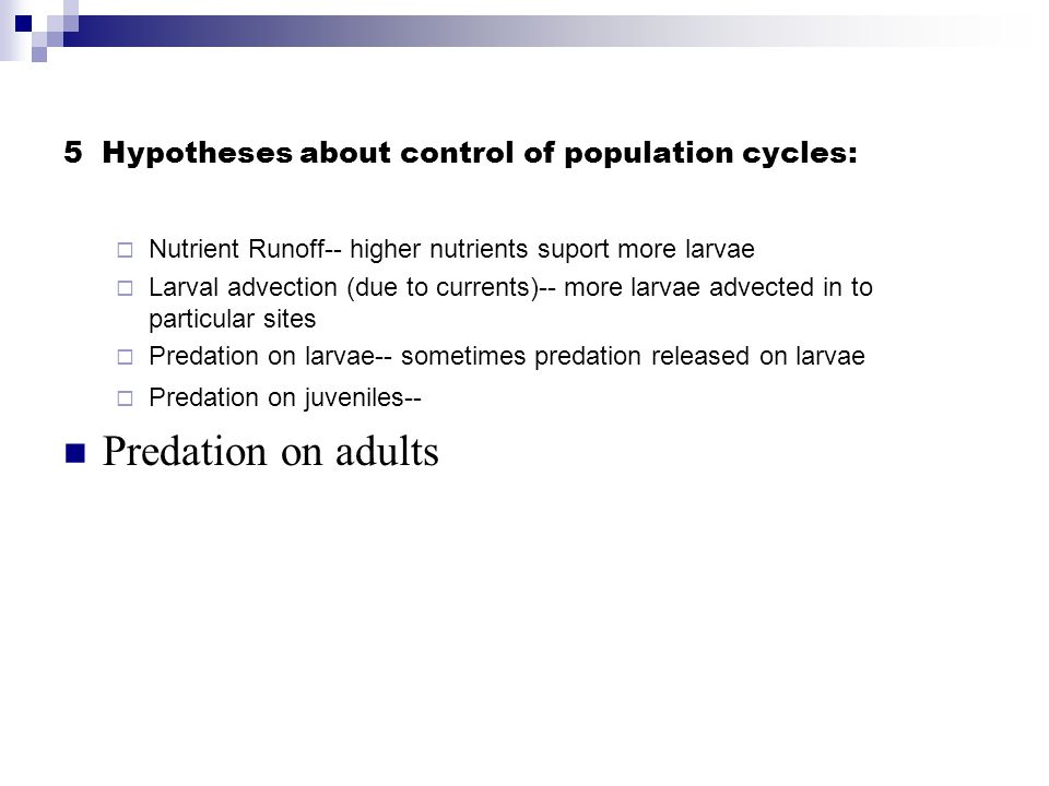 5 Hypotheses about control of population cycles:  Nutrient Runoff-- higher nutrients suport more larvae  Larval advection (due to currents)-- more larvae advected in to particular sites  Predation on larvae-- sometimes predation released on larvae  Predation on juveniles-- Predation on adults