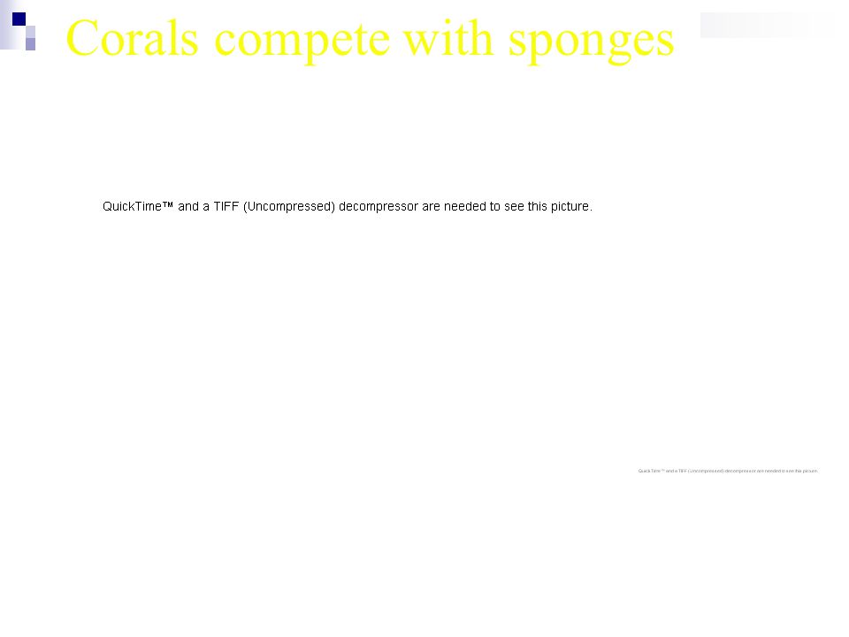Corals compete with sponges
