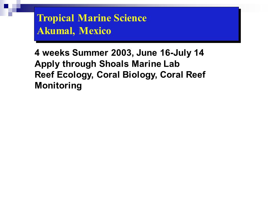 Tropical Marine Science Akumal, Mexico 4 weeks Summer 2003, June 16-July 14 Apply through Shoals Marine Lab Reef Ecology, Coral Biology, Coral Reef Monitoring