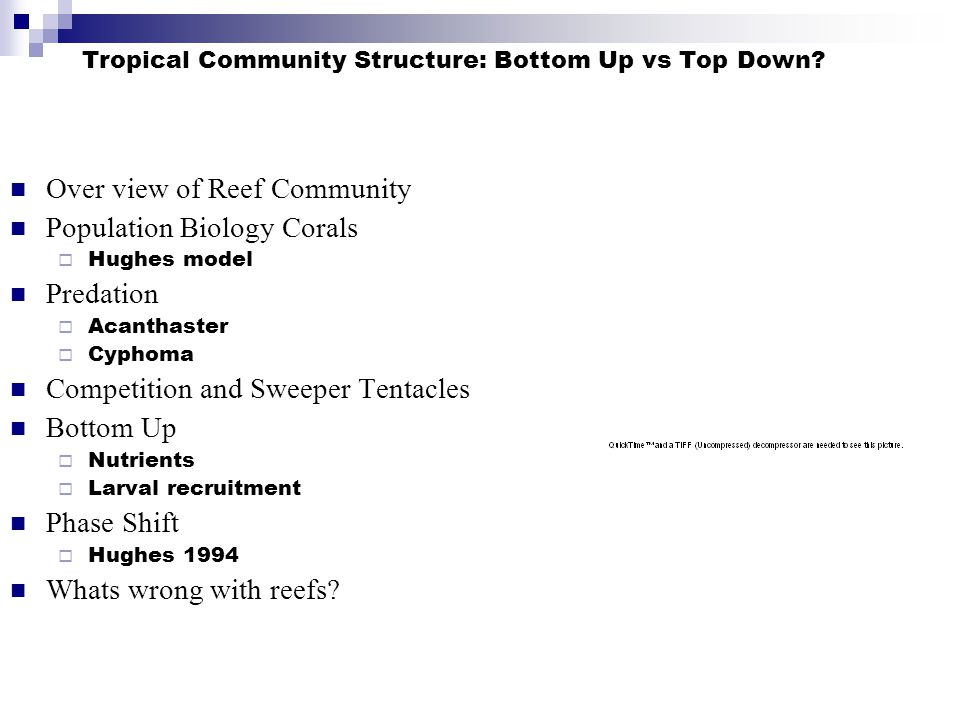 Tropical Community Structure: Bottom Up vs Top Down.