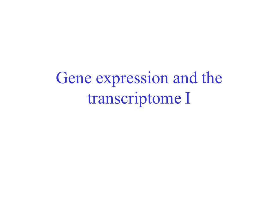 Gene expression and the transcriptome I