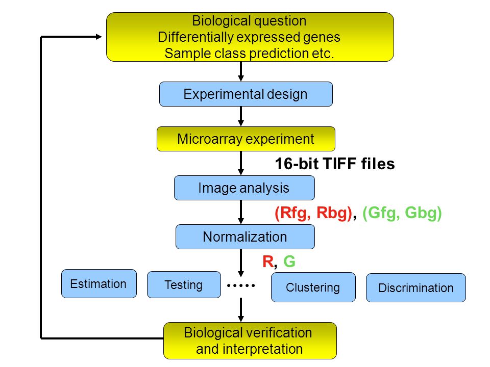 Biological question Differentially expressed genes Sample class prediction etc.