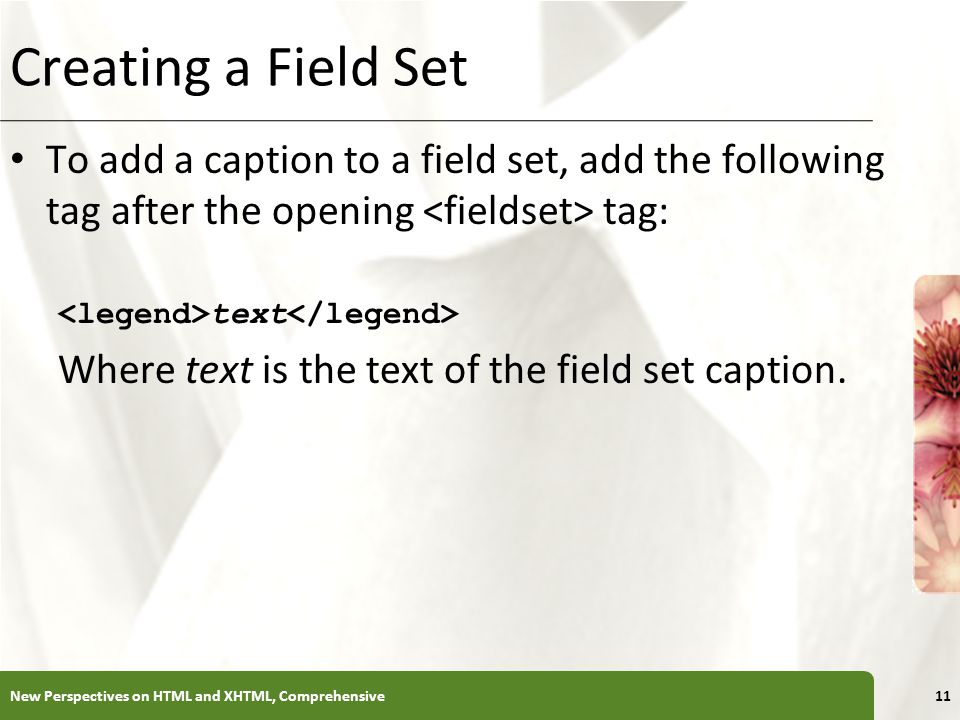 XP Creating a Field Set To add a caption to a field set, add the following tag after the opening tag: text Where text is the text of the field set caption.