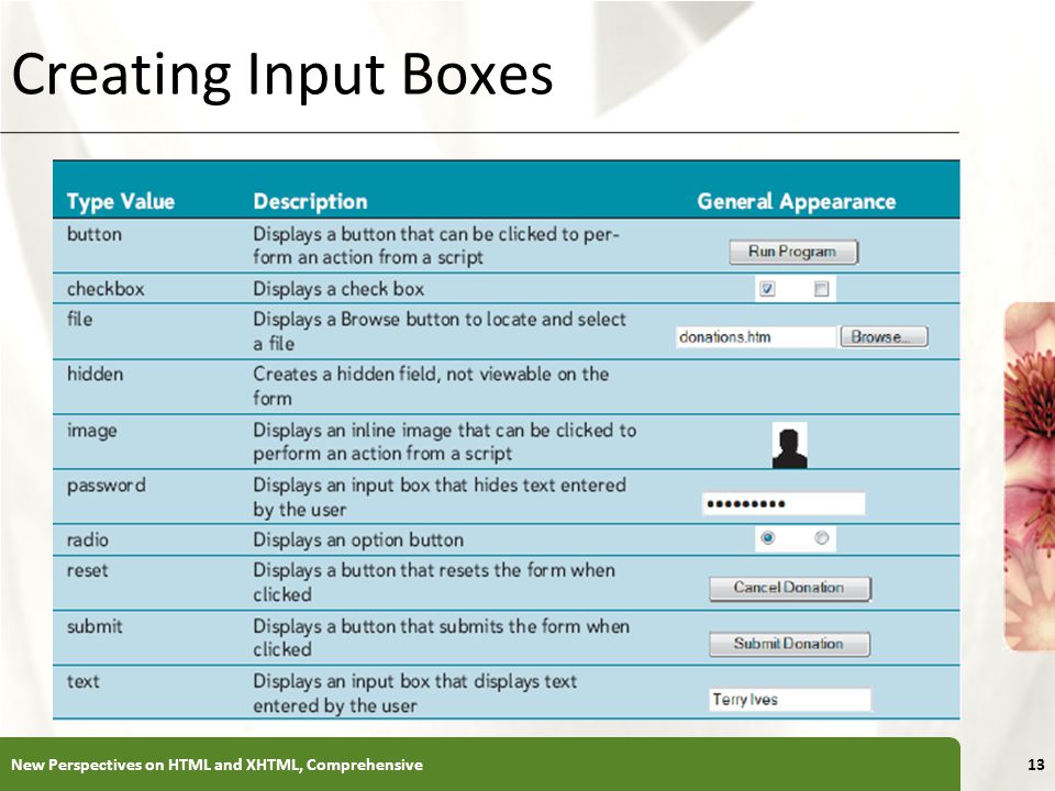 XP Creating Input Boxes New Perspectives on HTML and XHTML, Comprehensive13