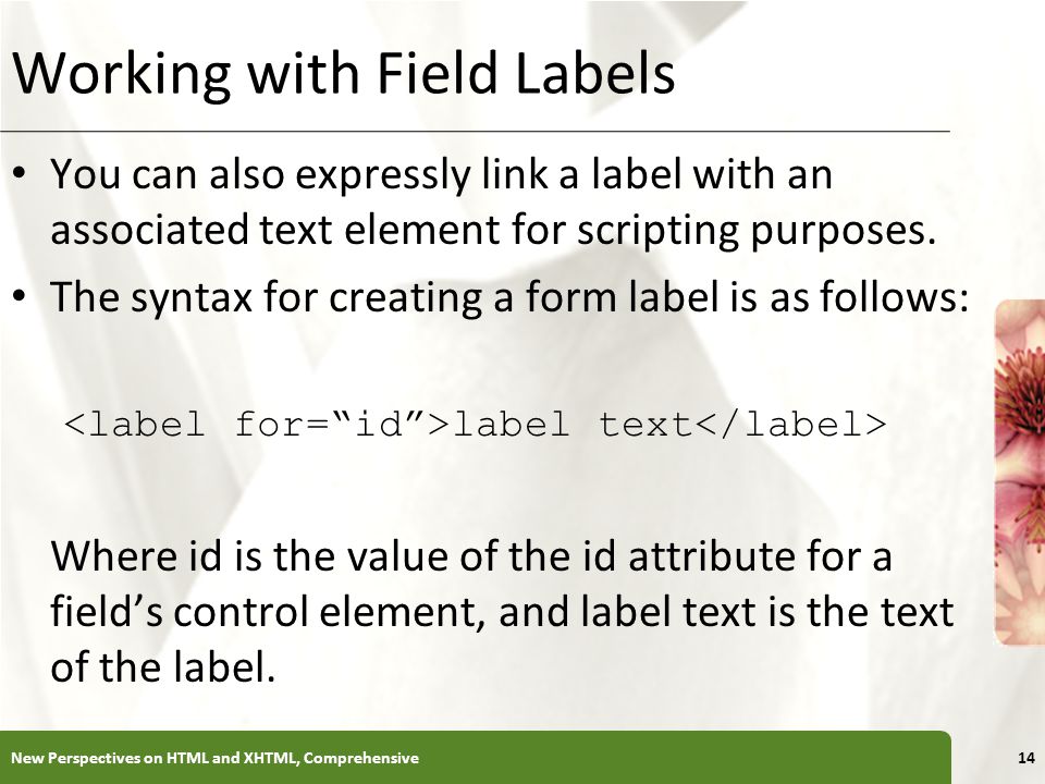 XP Working with Field Labels You can also expressly link a label with an associated text element for scripting purposes.