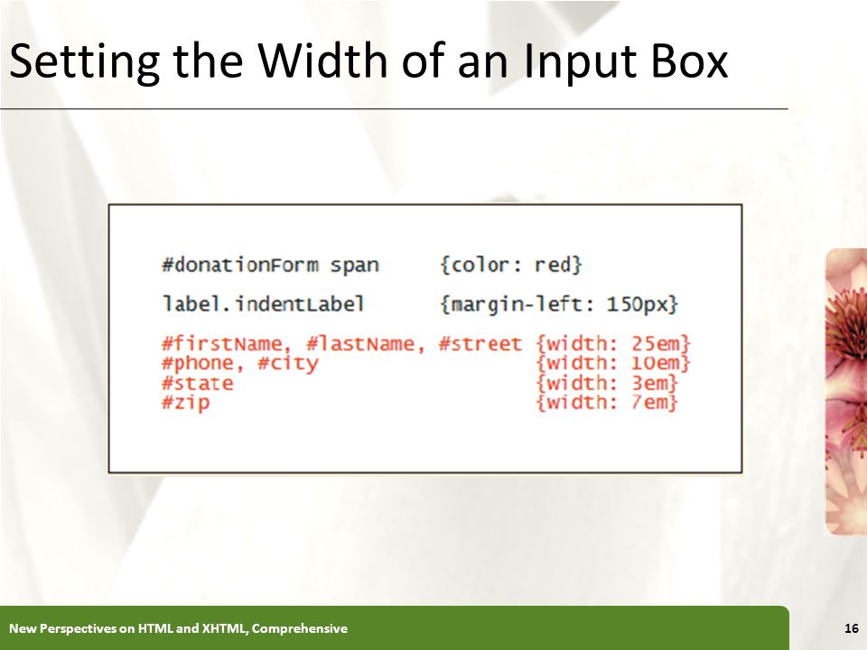 XP Setting the Width of an Input Box New Perspectives on HTML and XHTML, Comprehensive16
