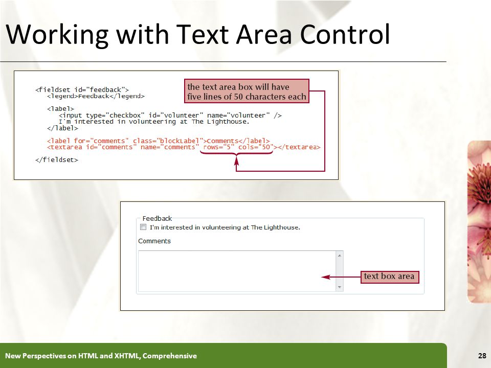 XP Working with Text Area Control New Perspectives on HTML and XHTML, Comprehensive28