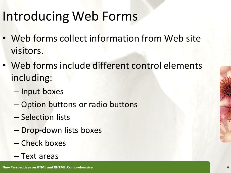 XP Introducing Web Forms Web forms collect information from Web site visitors.