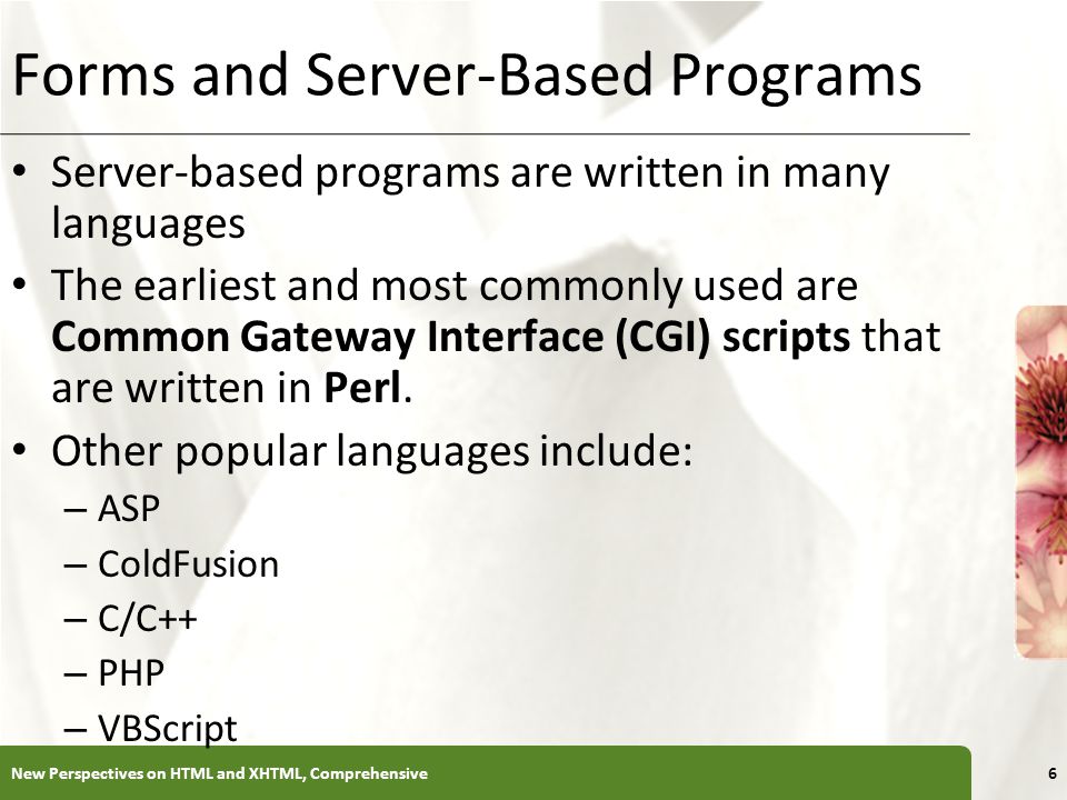 XP Forms and Server-Based Programs Server-based programs are written in many languages The earliest and most commonly used are Common Gateway Interface (CGI) scripts that are written in Perl.