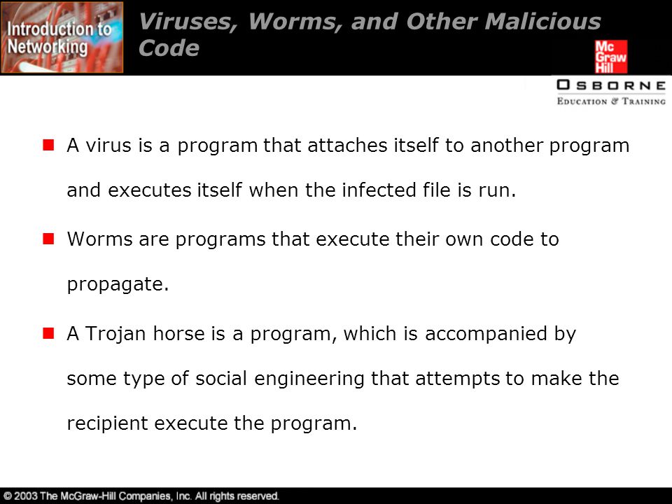 Viruses, Worms, and Other Malicious Code A virus is a program that attaches itself to another program and executes itself when the infected file is run.