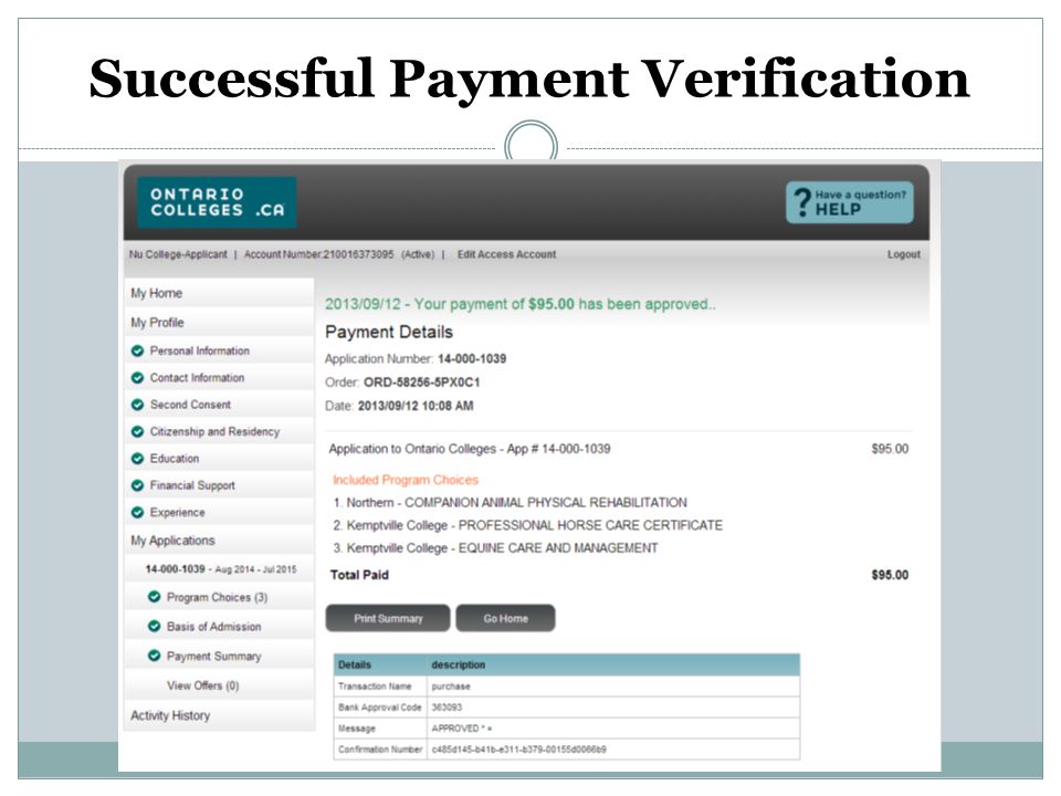 Successful Payment Verification