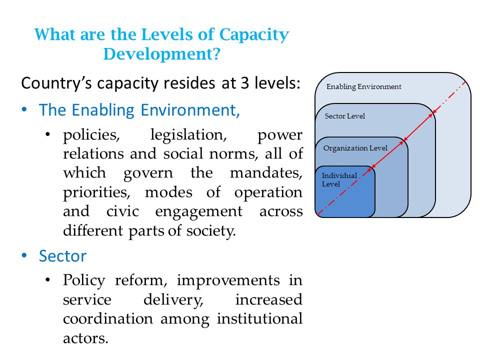 What are the Levels of Capacity Development.