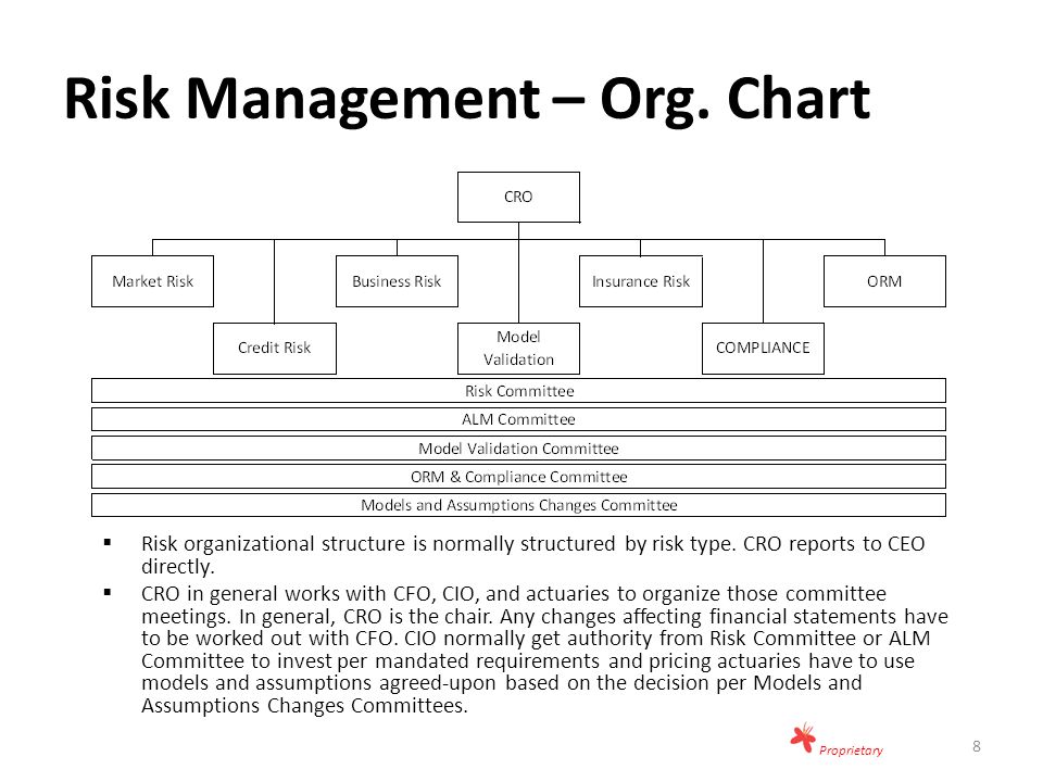 Risk Management Org Chart