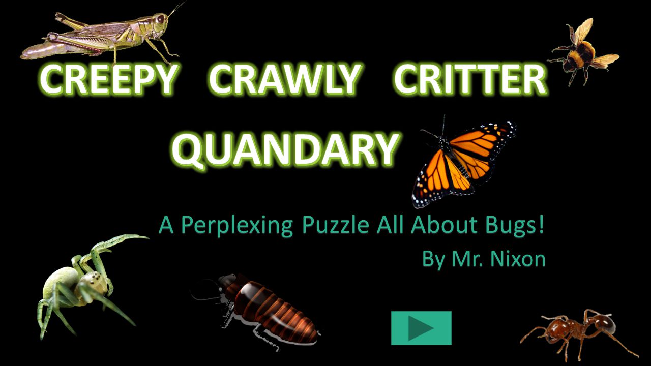 Fascinating and interesting puzzles about insects for kids 96 Fascinating and interesting puzzles about insects for kids 29
