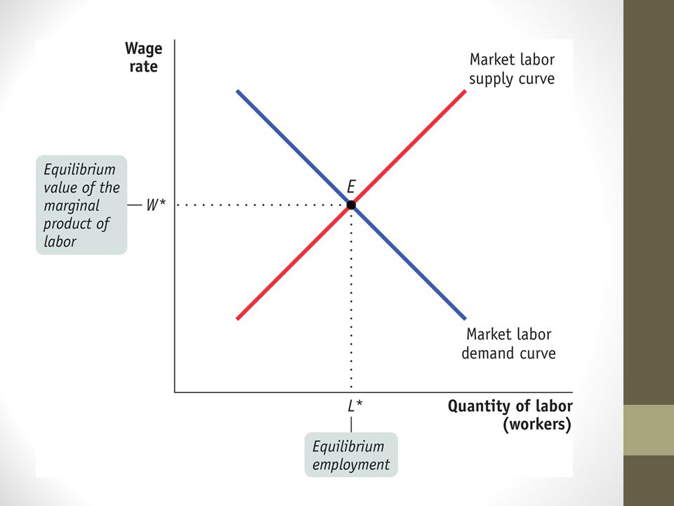 Factor markets. Labor Market. Labor demand. Individual demand curve. Three Elastic Beams in Equilibrium.