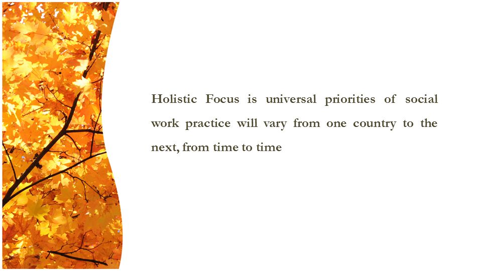 Holistic Focus is universal priorities of social work practice will vary from one country to the next, from time to time