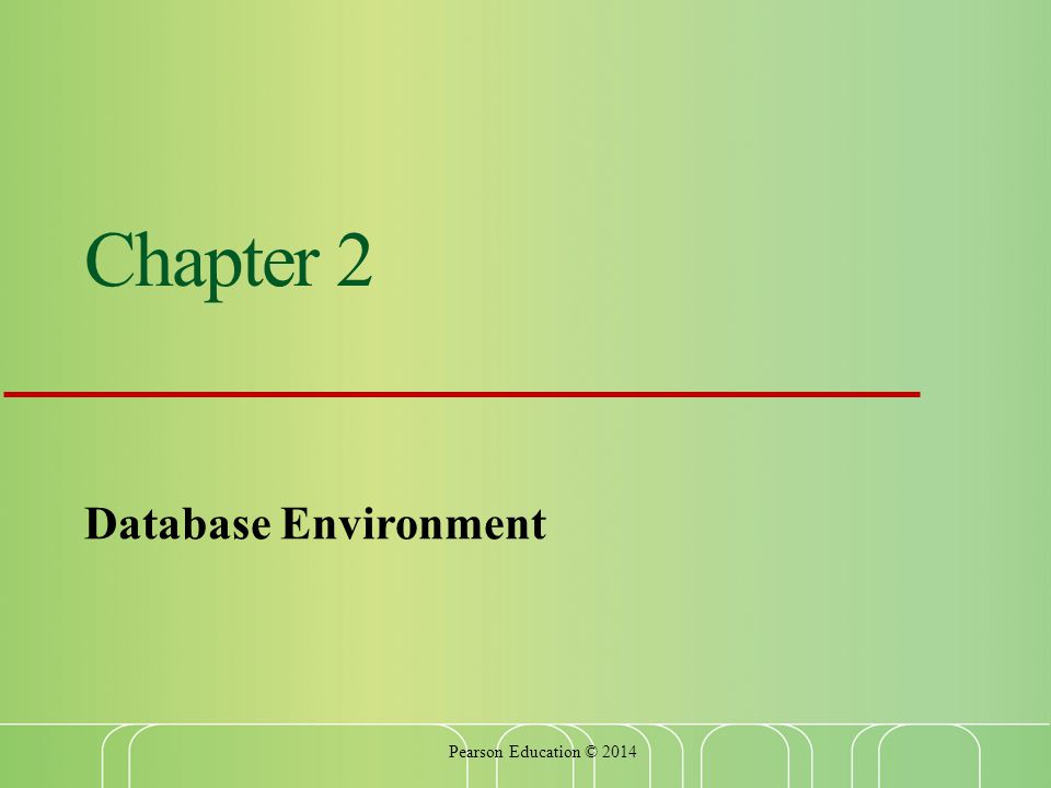 Chapter 2 Database Environment Pearson Education © 2014
