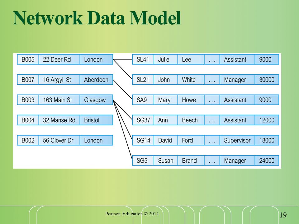 Network Data Model Pearson Education ©