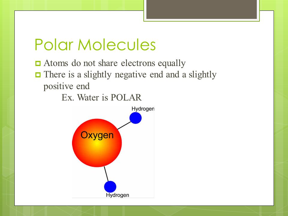 Polar Molecules  Atoms do not share electrons equally  There is a slightly negative end and a slightly positive end Ex.