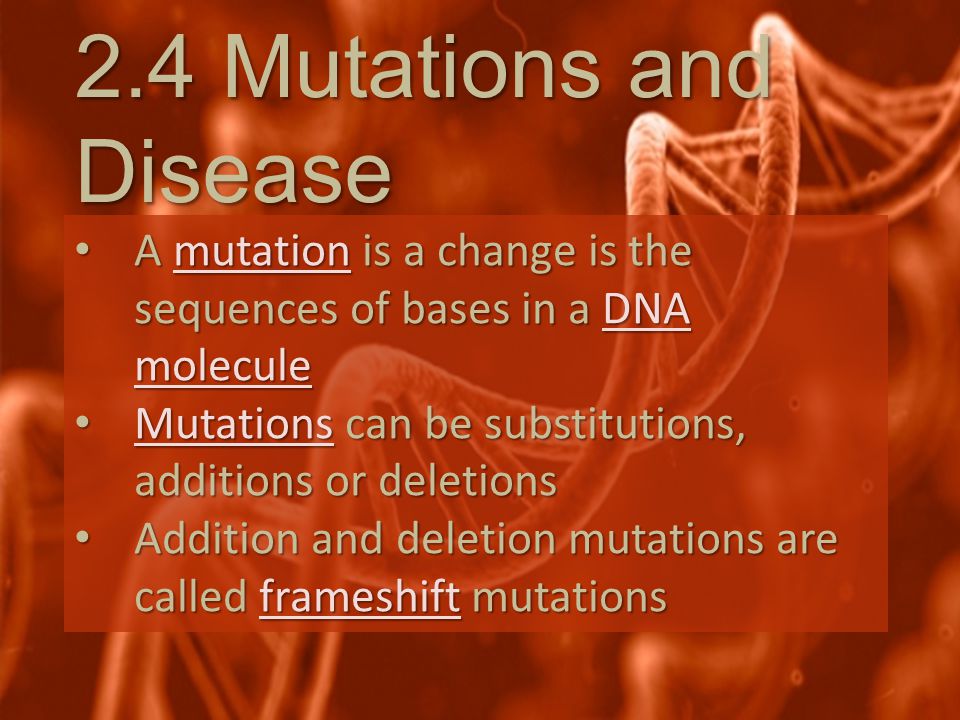 2.4 Mutations and Disease A mutation is a change is the sequences of bases in a DNA molecule A mutation is a change is the sequences of bases in a DNA moleculemutationDNA moleculemutationDNA molecule Mutations can be substitutions, additions or deletions Mutations can be substitutions, additions or deletions Mutations Addition and deletion mutations are called frameshift mutations Addition and deletion mutations are called frameshift mutationsframeshift