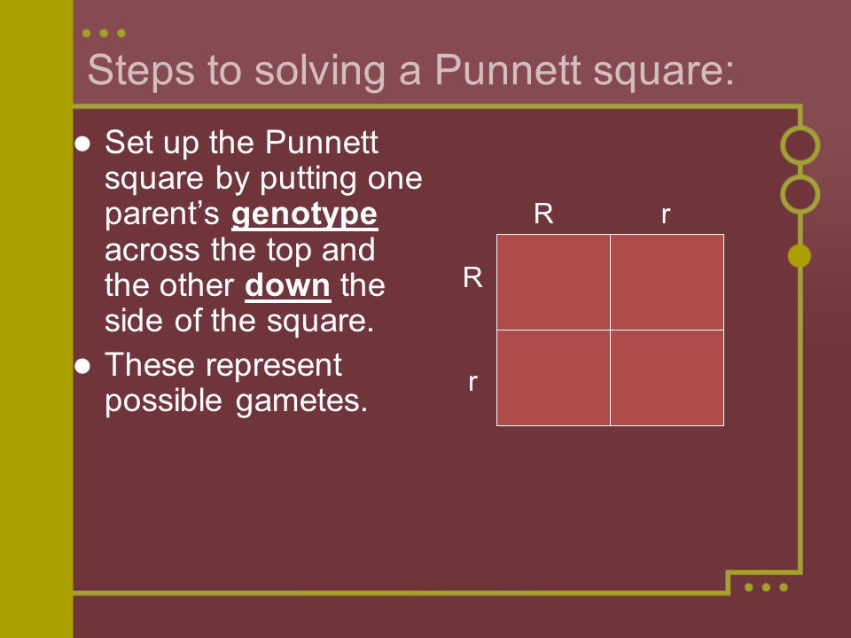 Punnett Squares How can I predict the appearance of offspring based on the  traits of the parents? - ppt download