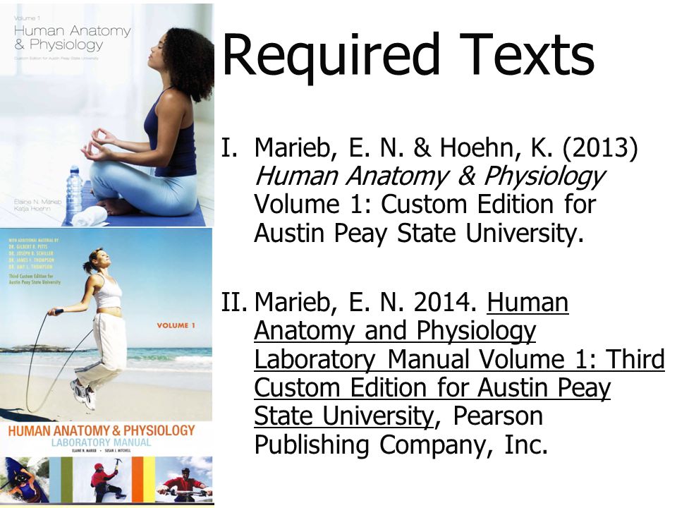 Intro To Human Anatomy Physiology Lab Instructor