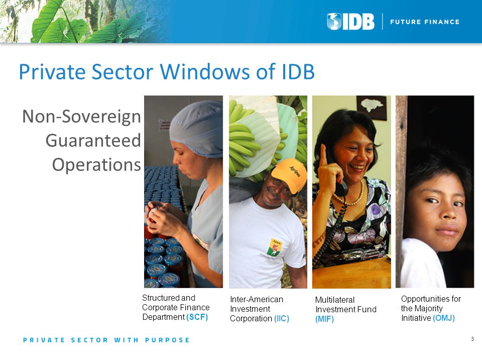 Private Sector Windows of IDB 3 Non-Sovereign Guaranteed Operations Structured and Corporate Finance Department (SCF) Inter-American Investment Corporation (IIC) Opportunities for the Majority Initiative (OMJ) Multilateral Investment Fund (MIF)