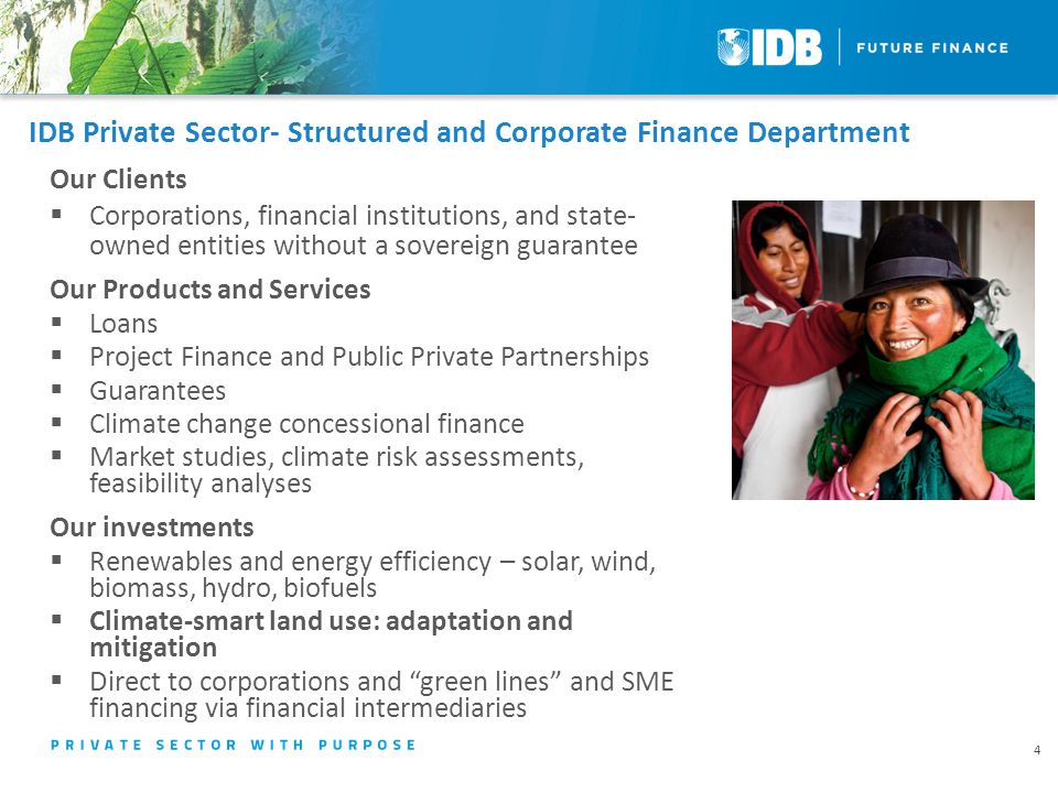 IDB Private Sector- Structured and Corporate Finance Department Our Clients  Corporations, financial institutions, and state- owned entities without a sovereign guarantee Our Products and Services  Loans  Project Finance and Public Private Partnerships  Guarantees  Climate change concessional finance  Market studies, climate risk assessments, feasibility analyses Our investments  Renewables and energy efficiency – solar, wind, biomass, hydro, biofuels  Climate-smart land use: adaptation and mitigation  Direct to corporations and green lines and SME financing via financial intermediaries 4