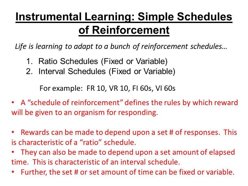 Lectures 15 & 16: Instrumental Conditioning (Schedules of Reinforcement)  Learning, Psychology 5310 Spring, 2015 Professor Delamater. - ppt download