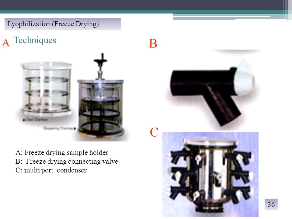 A: Freeze drying sample holder B: Freeze drying connecting valve C: multi port condenser A B C Techniques Lyophilization (Freeze Drying) 36