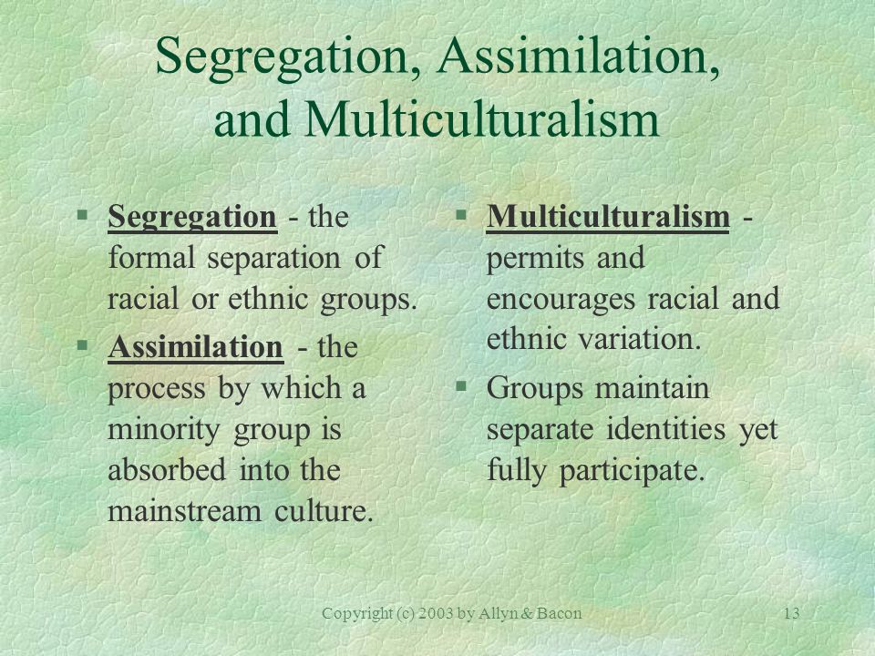 Copyright (c) 2003 by Allyn & Bacon13 Segregation, Assimilation, and Multiculturalism §Segregation - the formal separation of racial or ethnic groups.