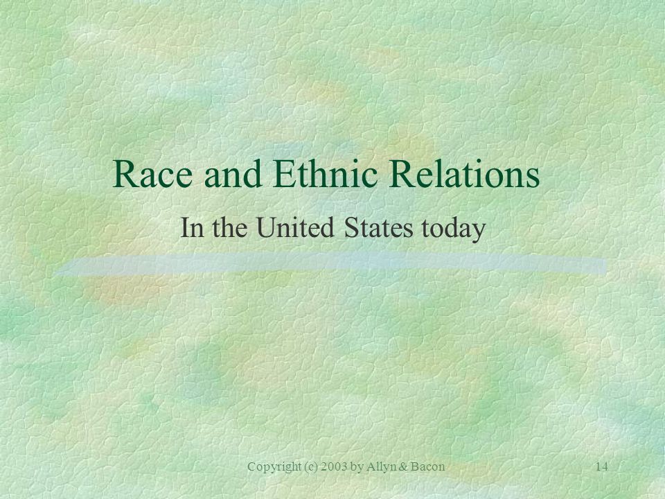 Copyright (c) 2003 by Allyn & Bacon14 Race and Ethnic Relations In the United States today