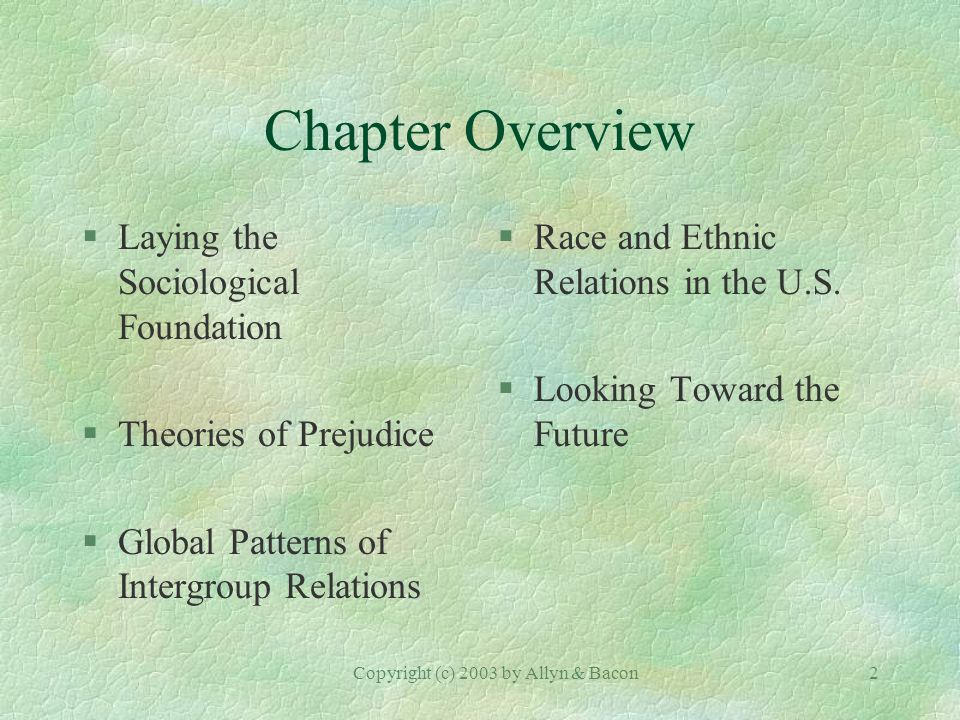 Copyright (c) 2003 by Allyn & Bacon2 Chapter Overview §Laying the Sociological Foundation §Theories of Prejudice §Global Patterns of Intergroup Relations §Race and Ethnic Relations in the U.S.