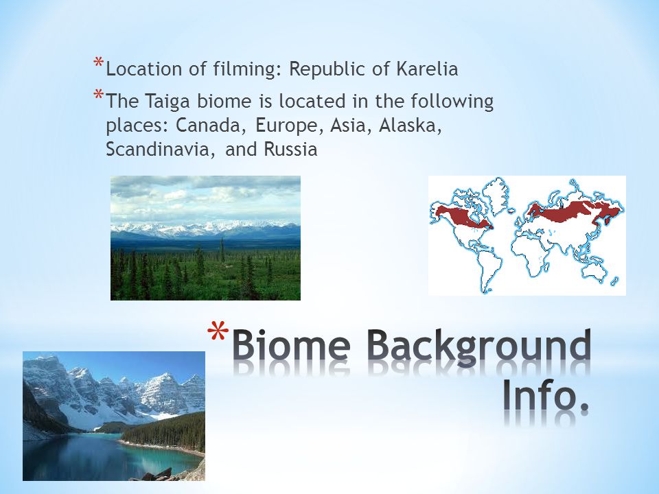 * Location of filming: Republic of Karelia * The Taiga biome is located in the following places: Canada, Europe, Asia, Alaska, Scandinavia, and Russia