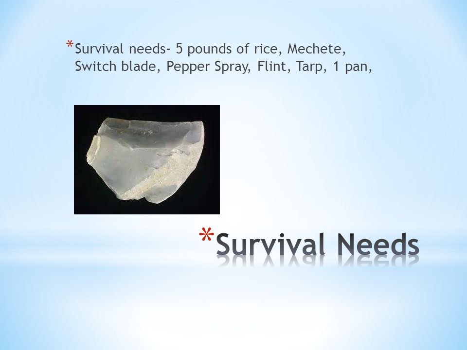 * Survival needs- 5 pounds of rice, Mechete, Switch blade, Pepper Spray, Flint, Tarp, 1 pan,