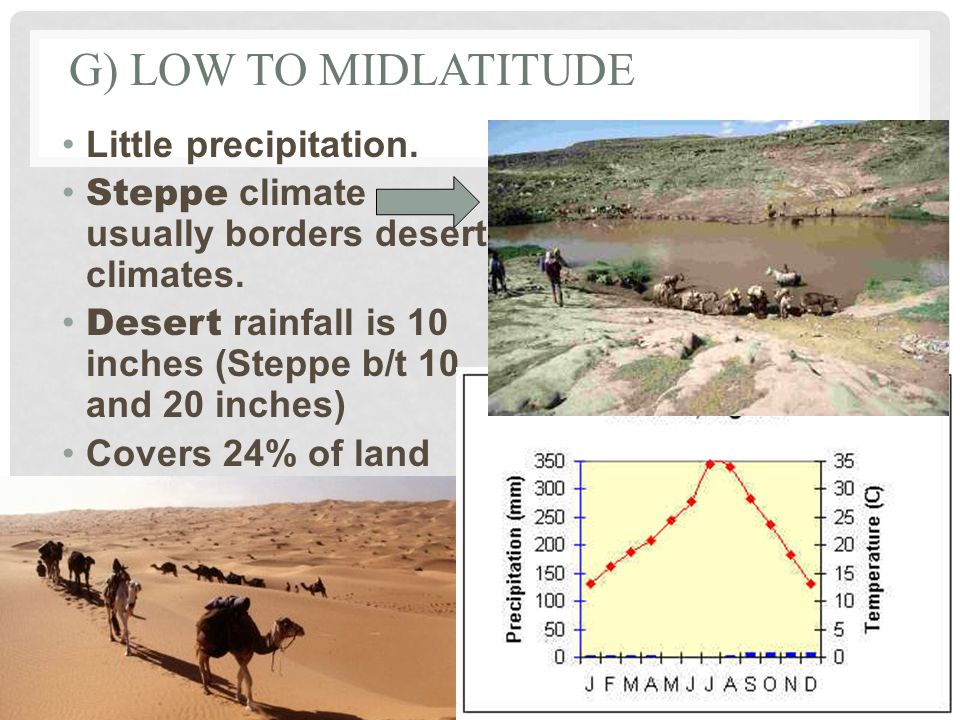 G) LOW TO MIDLATITUDE Little precipitation. Steppe climate usually borders desert climates.
