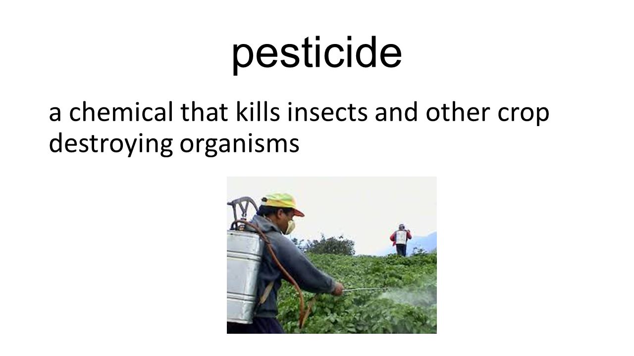 pesticide a chemical that kills insects and other crop destroying organisms