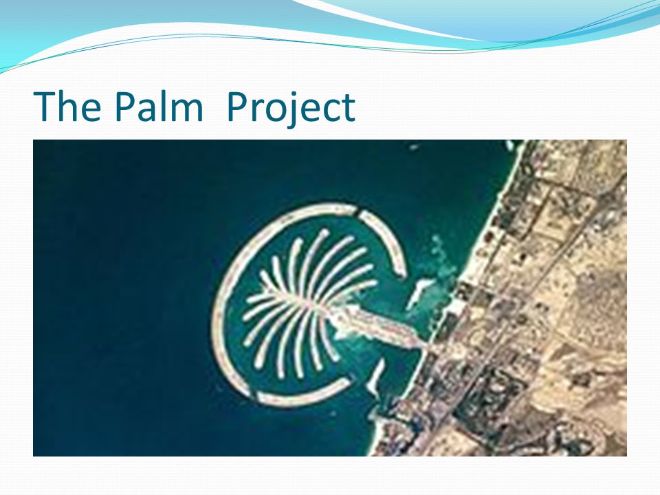 The Palm Project