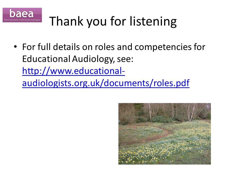 Thank you for listening For full details on roles and competencies for Educational Audiology, see:   audiologists.org.uk/documents/roles.pdf   audiologists.org.uk/documents/roles.pdf