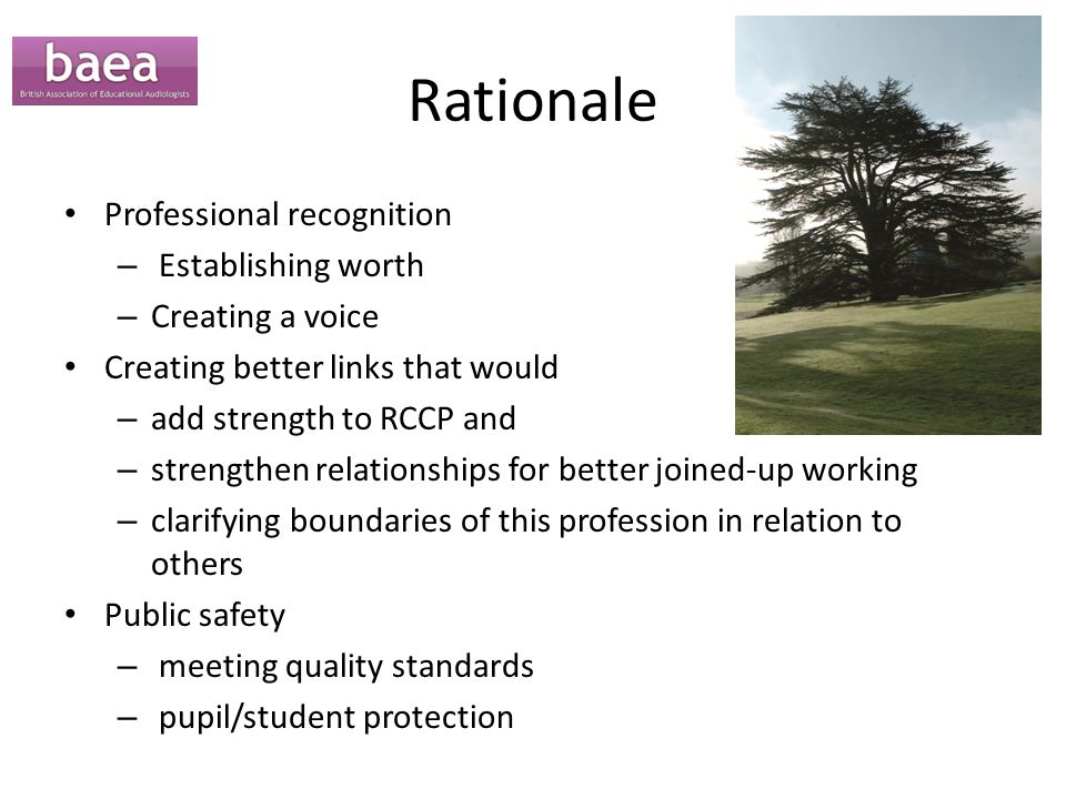 Rationale Professional recognition – Establishing worth – Creating a voice Creating better links that would – add strength to RCCP and – strengthen relationships for better joined-up working – clarifying boundaries of this profession in relation to others Public safety – meeting quality standards – pupil/student protection