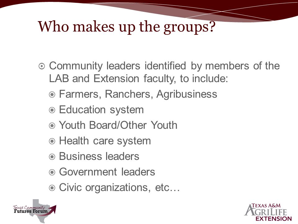  Community leaders identified by members of the LAB and Extension faculty, to include: ◉ Farmers, Ranchers, Agribusiness ◉ Education system ◉ Youth Board/Other Youth ◉ Health care system ◉ Business leaders ◉ Government leaders ◉ Civic organizations, etc… Who makes up the groups