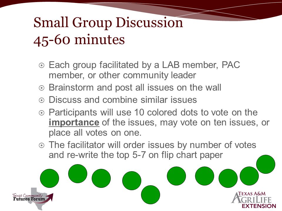  Each group facilitated by a LAB member, PAC member, or other community leader  Brainstorm and post all issues on the wall  Discuss and combine similar issues  Participants will use 10 colored dots to vote on the importance of the issues, may vote on ten issues, or place all votes on one.