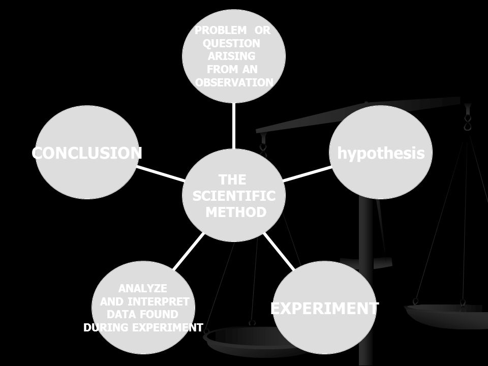 The Scientific Revolution Ppt Video Online Download The Scientific Revolution Ppt Video Online Download