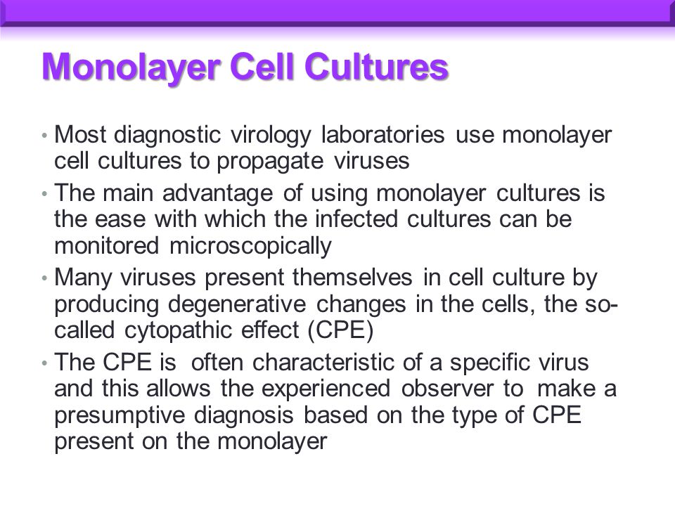 CELL CULTURE AND DIAGNOSTIC VIROLOGY. Since the discovery by Enders (1949)  that polioviruses could be cultured tissue, cell culture has become a very.  - ppt download