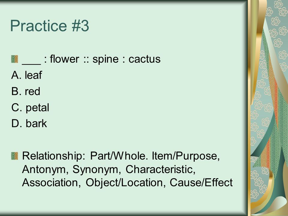 Practice #3 ___ : flower :: spine : cactus A. leaf B.