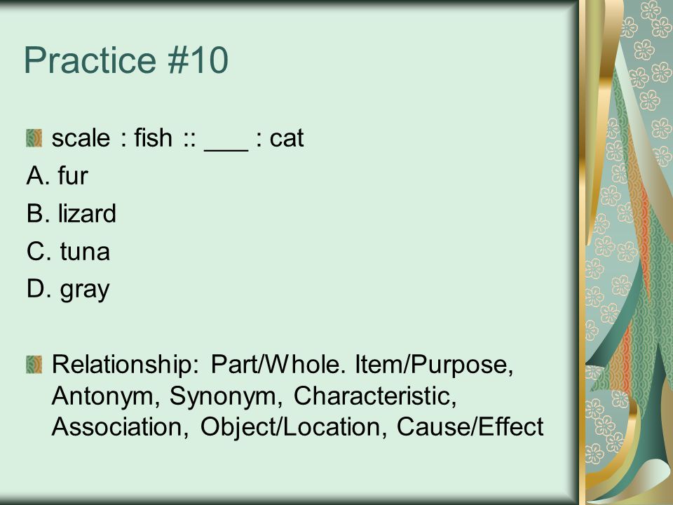 Practice #10 scale : fish :: ___ : cat A. fur B. lizard C.