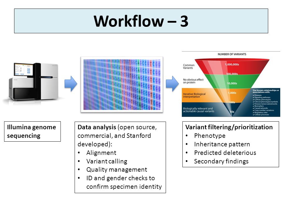 Workflow – 3 Illumina genome sequencing Data analysis (open source, commercial, and Stanford developed): Alignment Variant calling Quality management ID and gender checks to confirm specimen identity Variant filtering/prioritization Phenotype Inheritance pattern Predicted deleterious Secondary findings