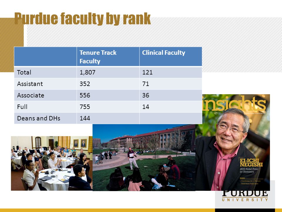 Purdue faculty by rank Tenure Track Faculty Clinical Faculty Total1, Assistant35271 Associate55636 Full75514 Deans and DHs144