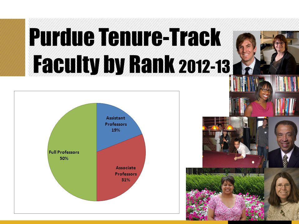 Purdue Tenure-Track Faculty by Rank
